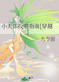 С����Ͷιָ��[��Խ]