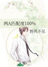 ��Aƥ���100%