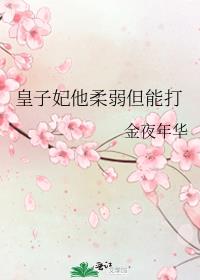 皇子妃他柔弱但能打