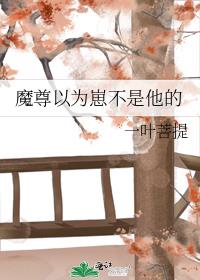 ħ����Ϊ�̲�������