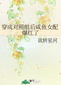 ���ɶ����������Ů�䱬����