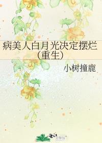 �����˰��¹�������ã�������