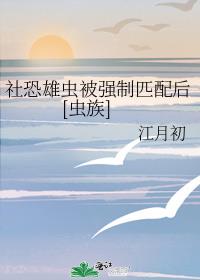 ����۳汻ǿ��ƥ���[����]