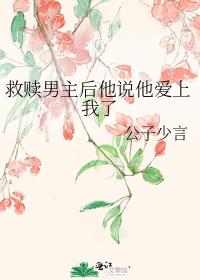 ������������˵����������