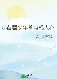 ���置�����ƹƻ�����