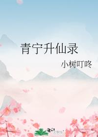 ��������¼