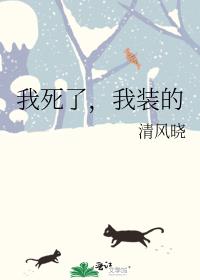 �����ˣ���װ��