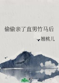 ͵͵����ֱ��������