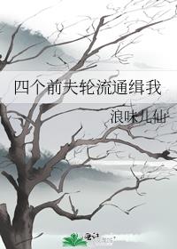 四个前夫轮流通缉我