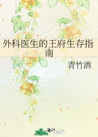 外科医生的王府生存指南