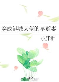 ���ɸ۳Ǵ��е�������