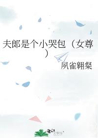 夫郞是个小哭包(女尊)