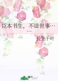 �����������������¡���