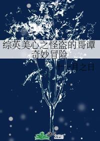 综英美心之怪盗的哥谭奇妙冒险