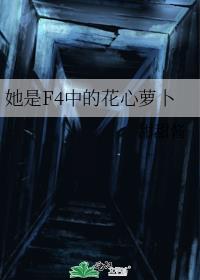 ����F4�еĻ����ܲ�