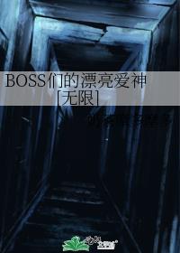 BOSS�ǵ�Ư������[����]