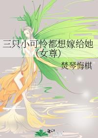 三只小可怜都想嫁给她(女尊)