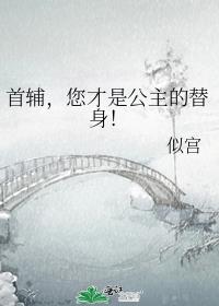 首辅,您才是公主的替身!