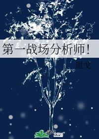 ��һս������ʦ��