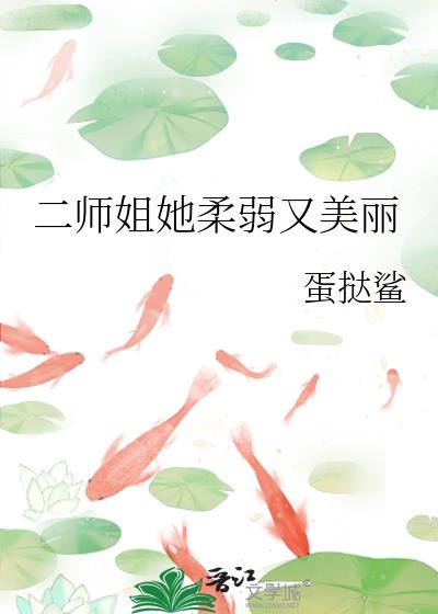 ��ʦ��������������