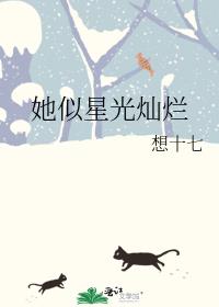 �����ǹ����