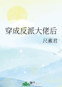 ���ɷ��ɴ��к�