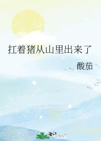 ��������ɽ�������