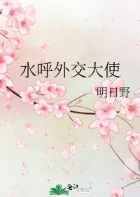 ˮ���⽻��ʹ