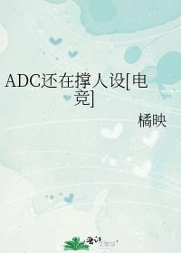 ADC���ڳ�����[�羺]