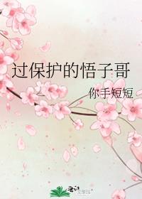 过保护的悟子哥