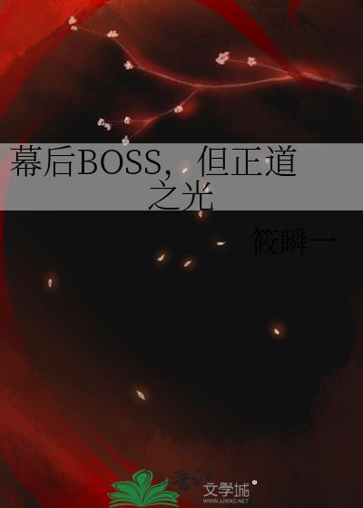 幕后BOSS,但正道之光