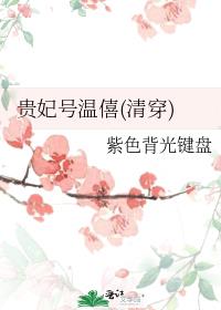贵妃号温僖(清穿)