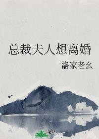 总裁夫人想离婚