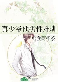 真少爷他劣性难驯