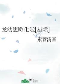 �����̷�����[�Ǽ�]