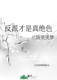 ���ɲ������ɫ