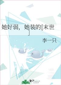 ����������װ��[ĩ����