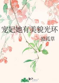 宠妃她有美貌光环