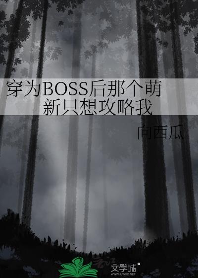 ��ΪBOSS���Ǹ�����ֻ�빥����