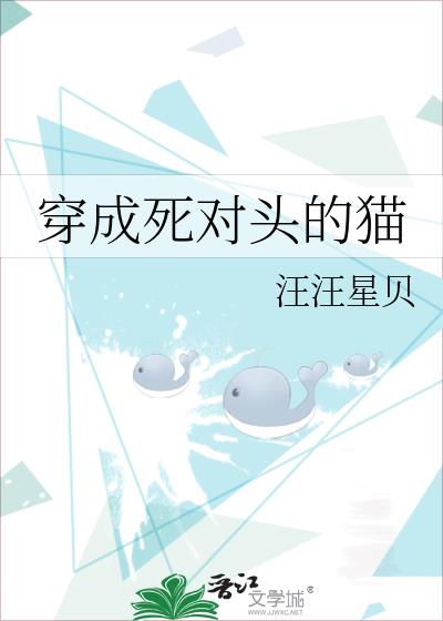 ��������ͷ��è