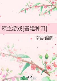 ������Ϸ[��������]