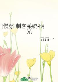 [����]�̿�ϵͳ-����