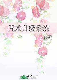 ��������ϵͳ