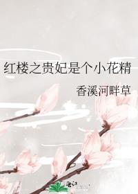 ��¥֮�����Ǹ�С����