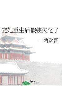 �����������װʧ����