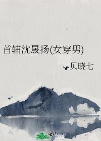 首辅沈晟扬(女穿男)