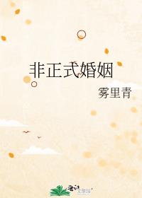 ����ʽ����