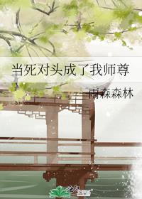 ������ͷ������ʦ��