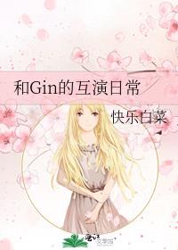 ��Gin�Ļ����ճ�