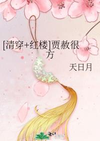 [�崩+��¥]����ܷ�